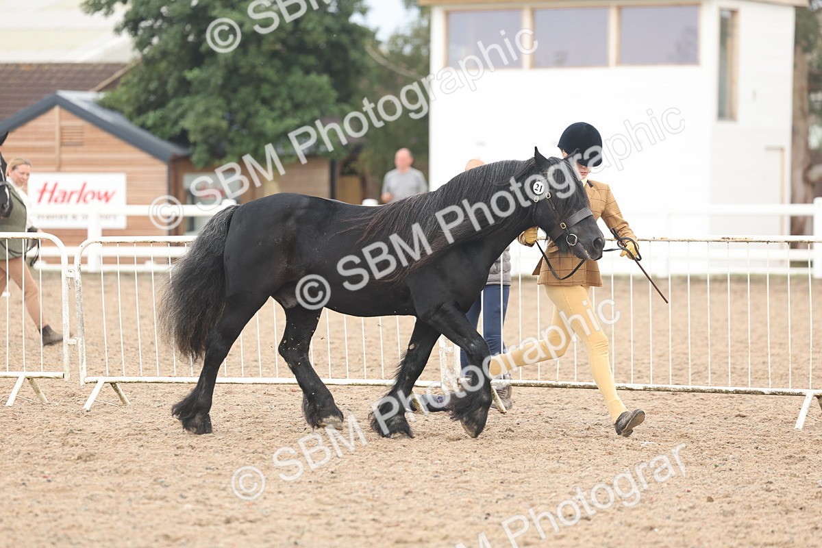 SBM_08426 - Class 29 - IH Veteran Pony