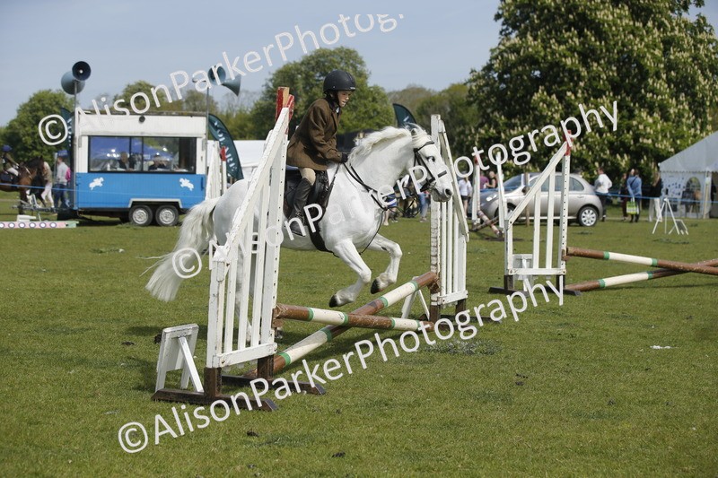 20260426-1269 - Class 2 - Mini Jumping