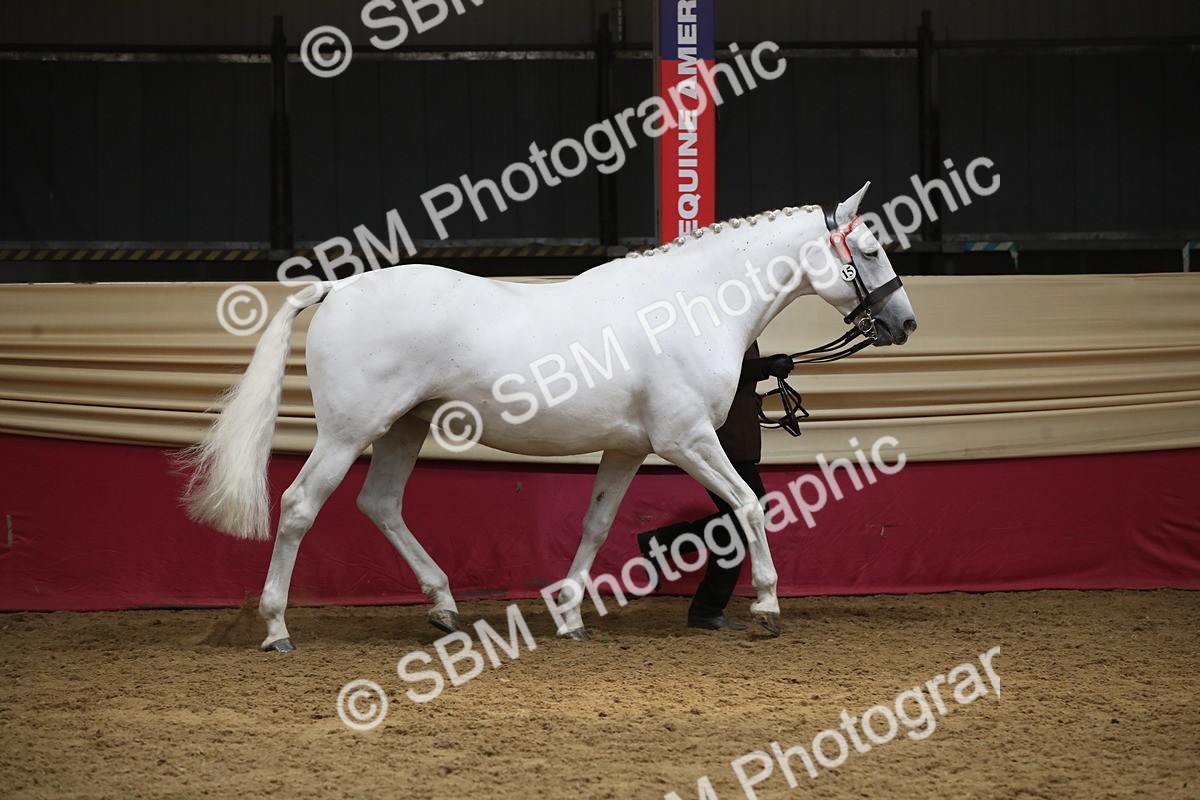 SBM_05487 - Class 9R - Regional IH Pre-Vet