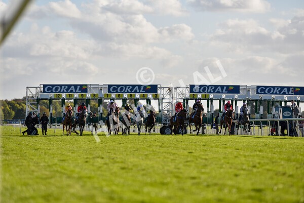 yr08102022r6-16 - Race 6 4.25pm The Watch Racing Online Free With Coral Handicap Stakes