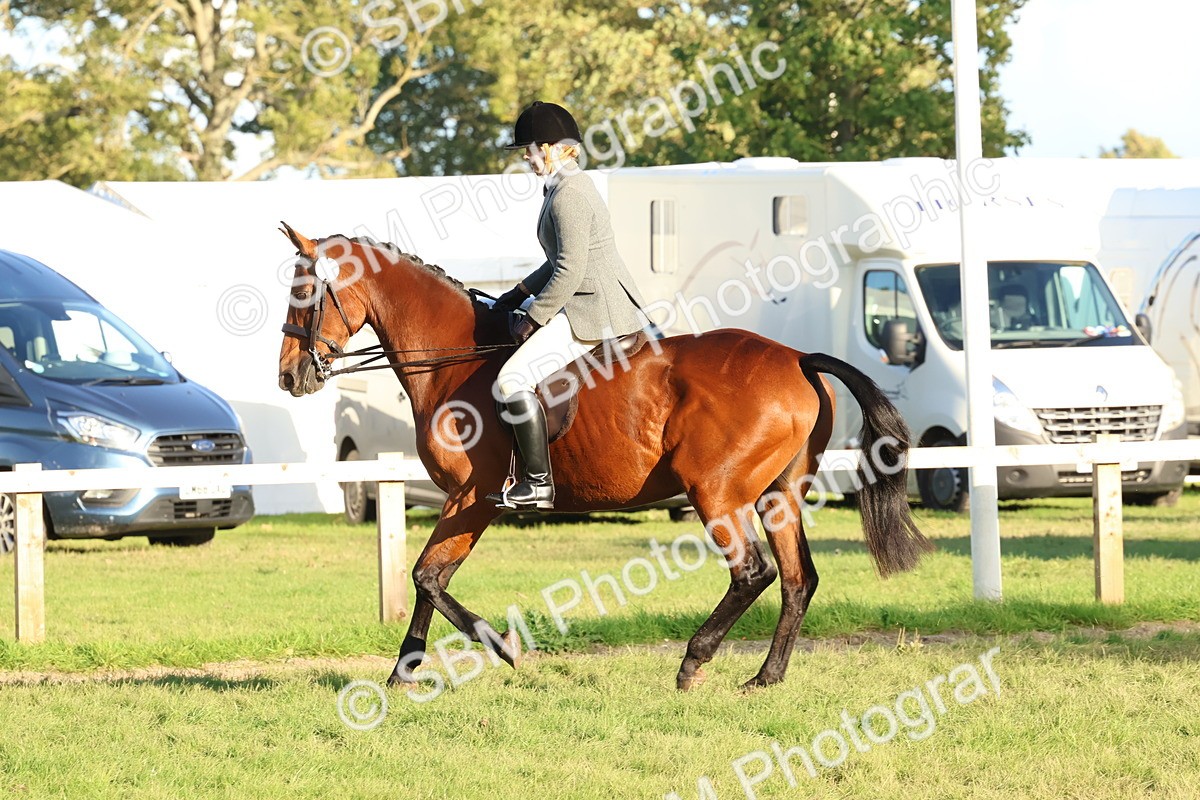 SBM_53043 - S29 - Mature Veteran Ridden