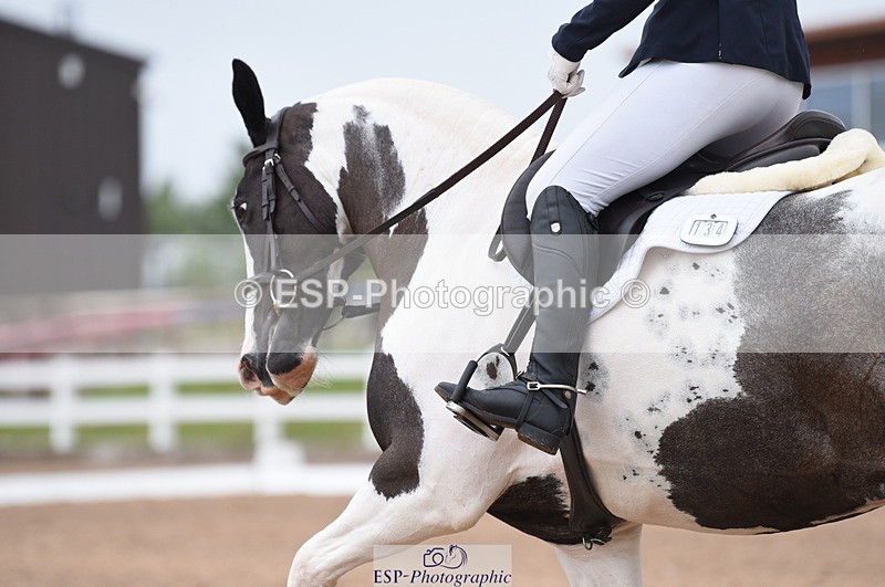 230708A-104504-01443 - Prelim 7