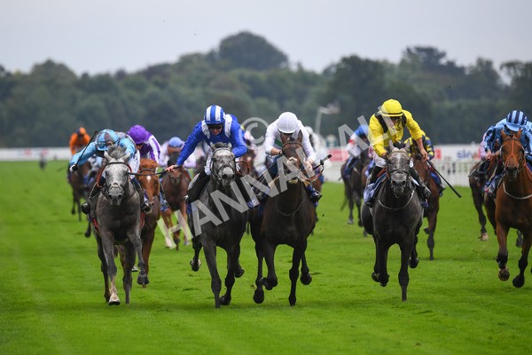 yr21082021r2-11 - Race 2 2.25pm Sky Bet Melrose Stakes