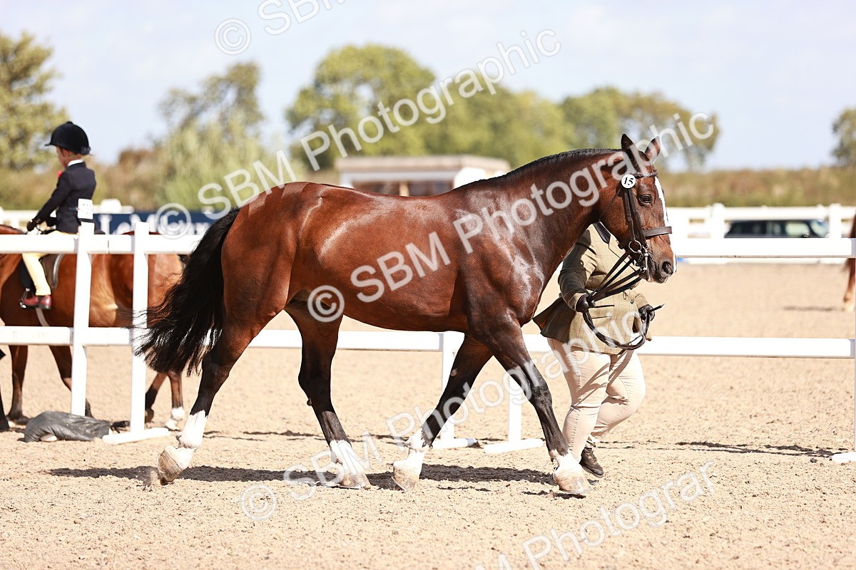SBM_22957 - Class 707 - IH groom Helpers Class