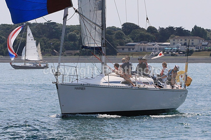180721 HARRIER 1Y3A3040 - Sailboats - monohull