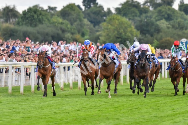 260823-Race 4-Absurde-0905 - Race 4 Sky Bet Ebor Handicap