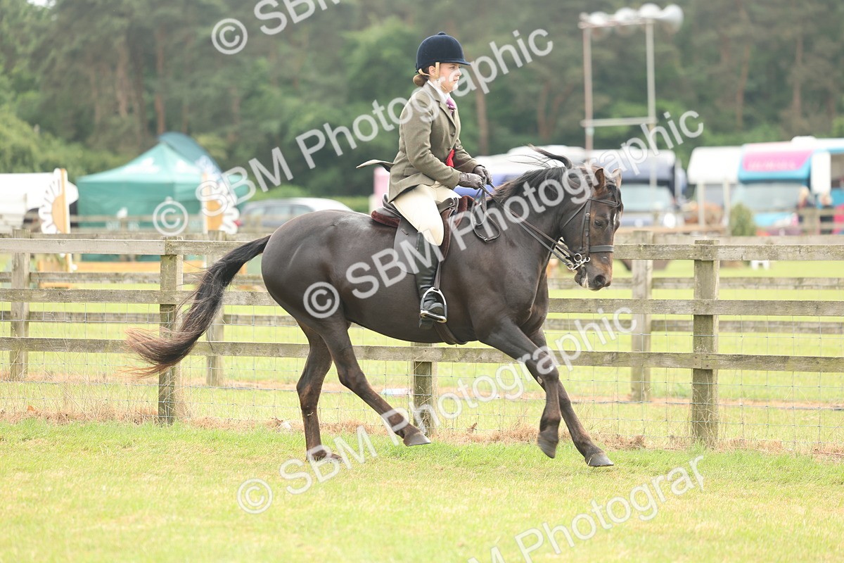 SBM_09123 - Class 78-80 - Ridden M&M Non Welsh Ponies