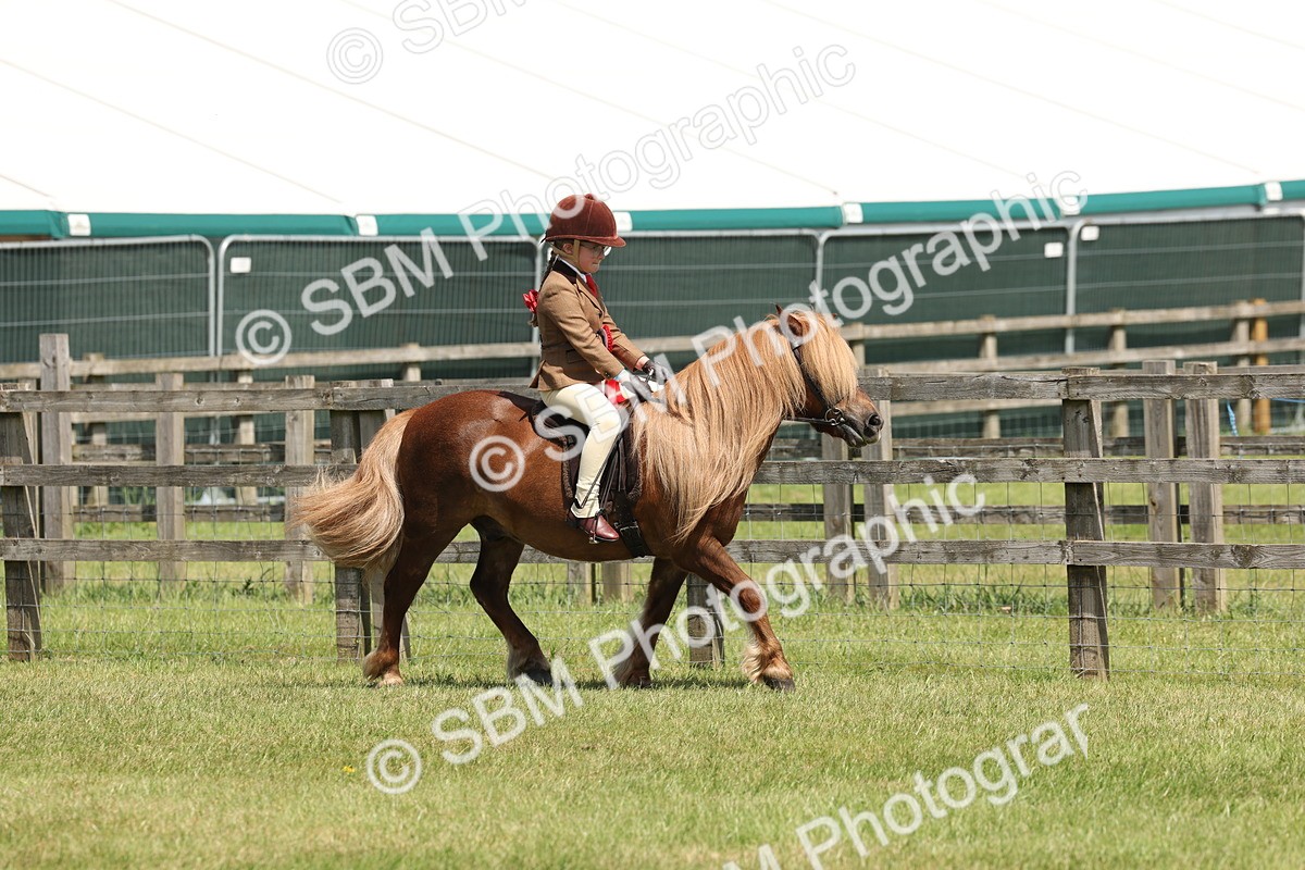 SBM_05378 - Class 24-25 - Mountain & Moorland In Hand Lead Rein and First Ridden