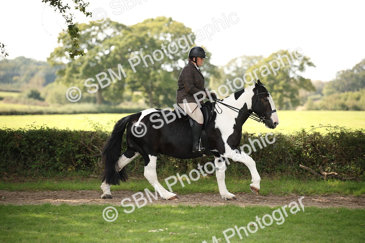 SBM_70085 - S65 - Piebald & Skewbald Horse Ridden
