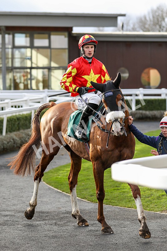 020224-Race 4-Treaty Boy-6852 - Race 4