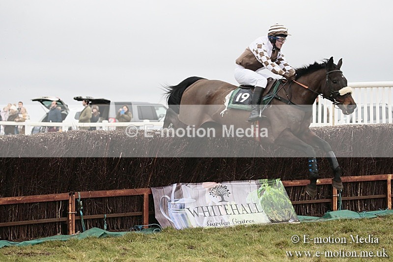 PtP 180218 372 - Combined Services Point-to-Point Larkhill 18/02/18