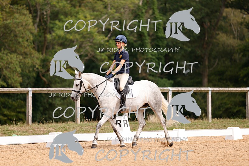 _R6A2715 - Dressage Morning