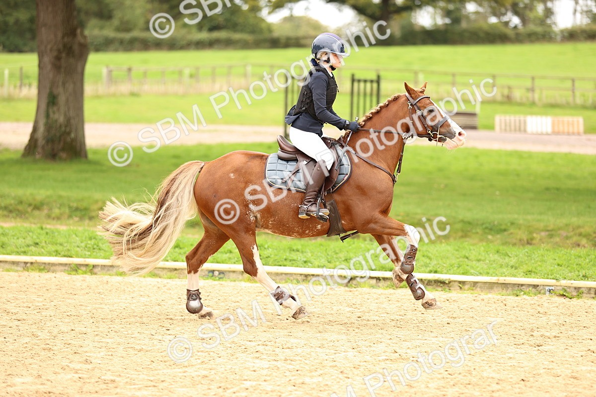 SBM_64857 - J17 - Junior Pony 80cm Championship