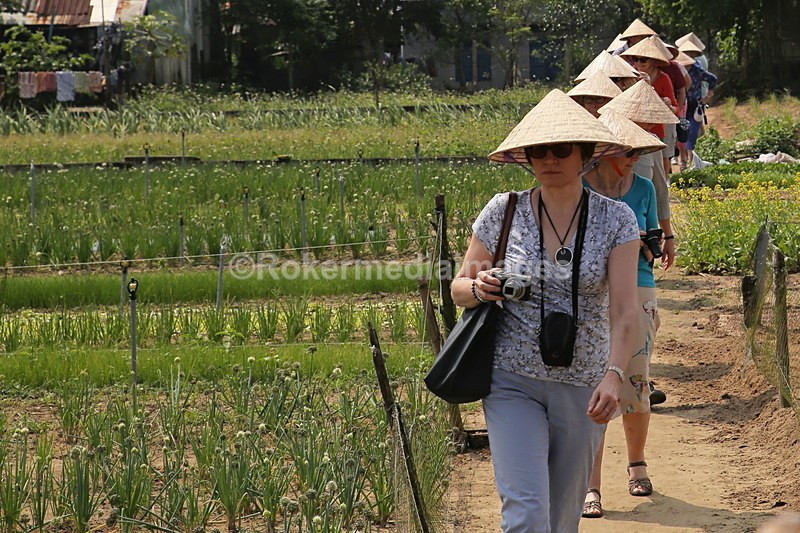 VIET_0441 - Vietnam 2017