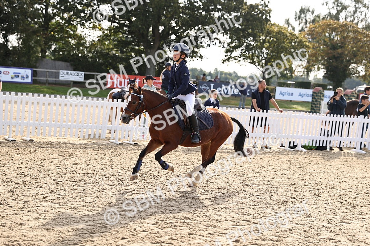 SBM_59807 - J11 - Junior Pony 50cm Championship