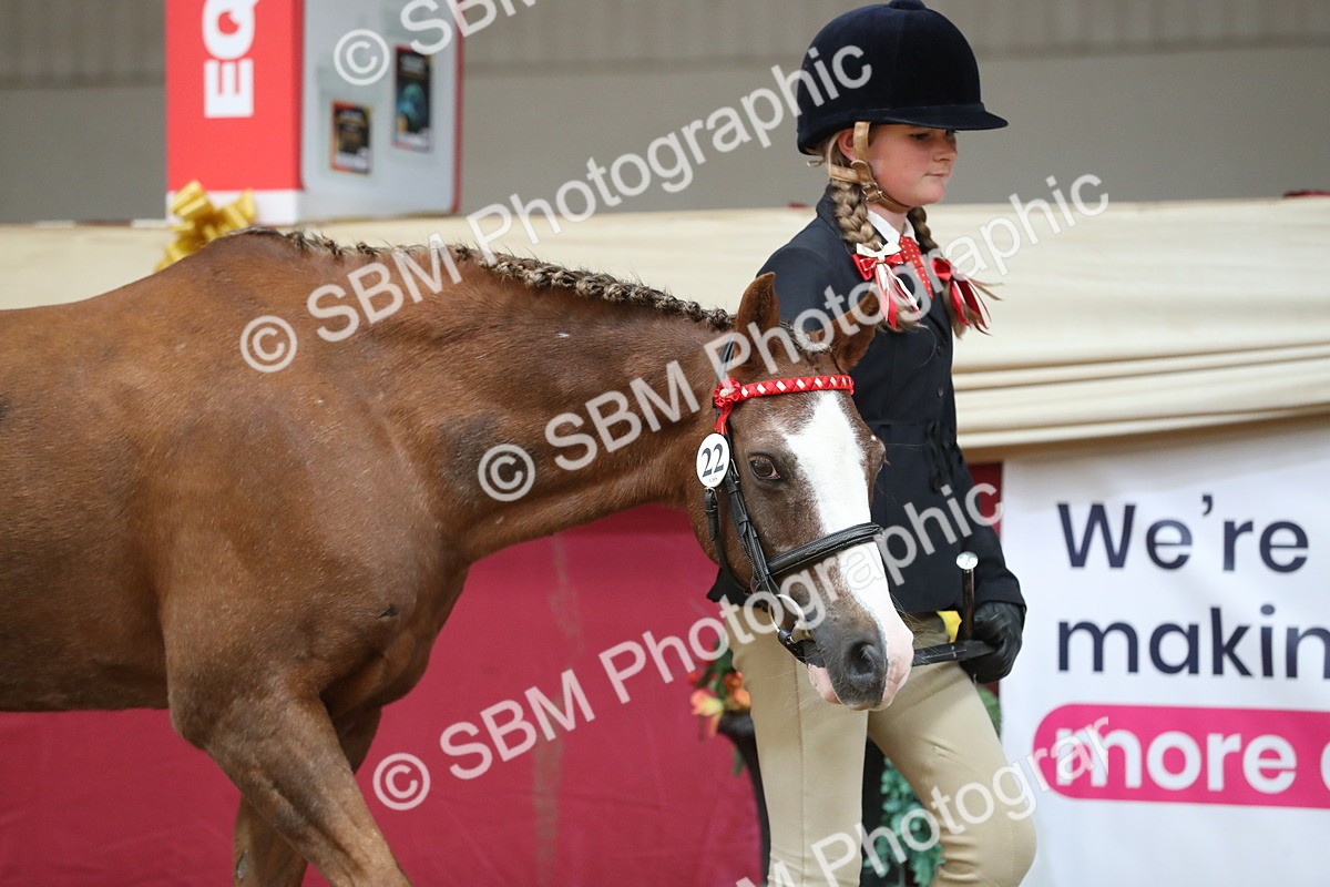 SBM_04906 - Class 8R- Regional -IH Veteran