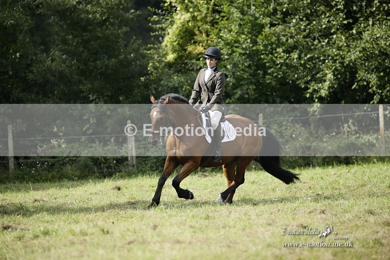BVRC 120921 325 - Bourne Valley Riding Club UA Dressage & Show Jumping 12/09/21
