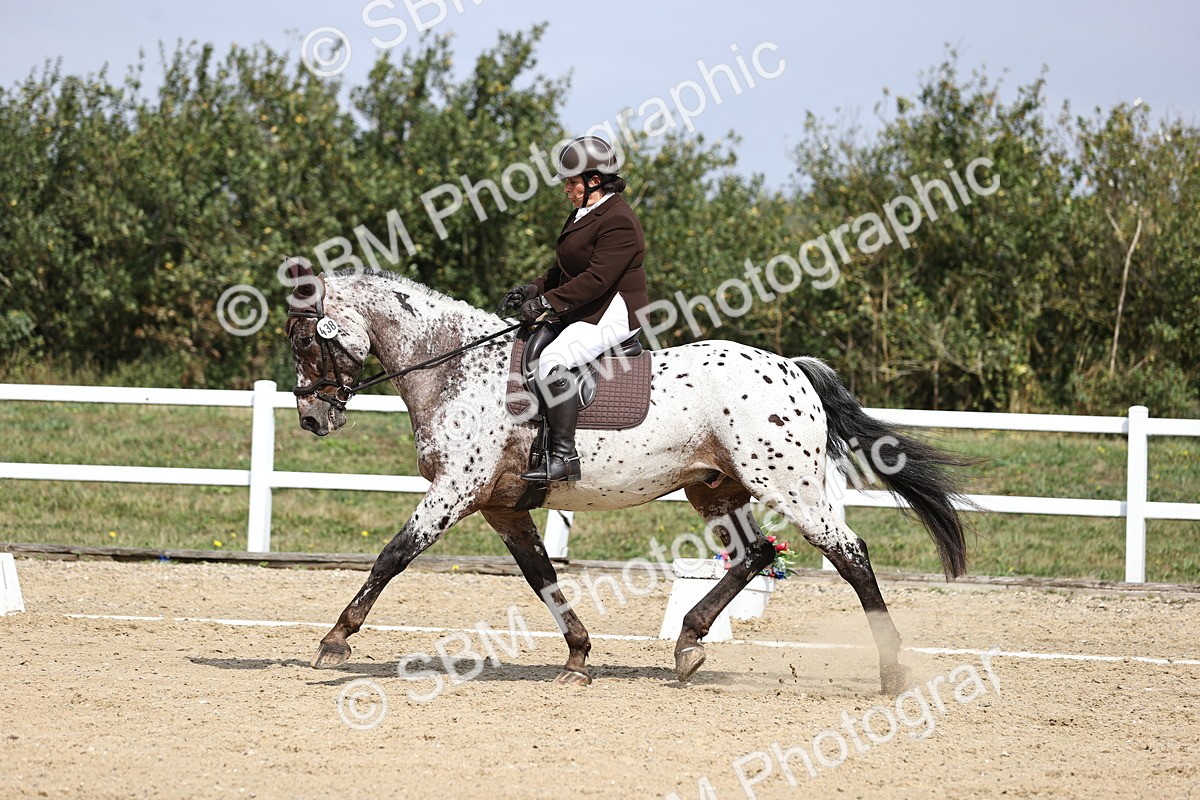 SBM_016837 - Class 14 Novice 23 - 11.53-12.56