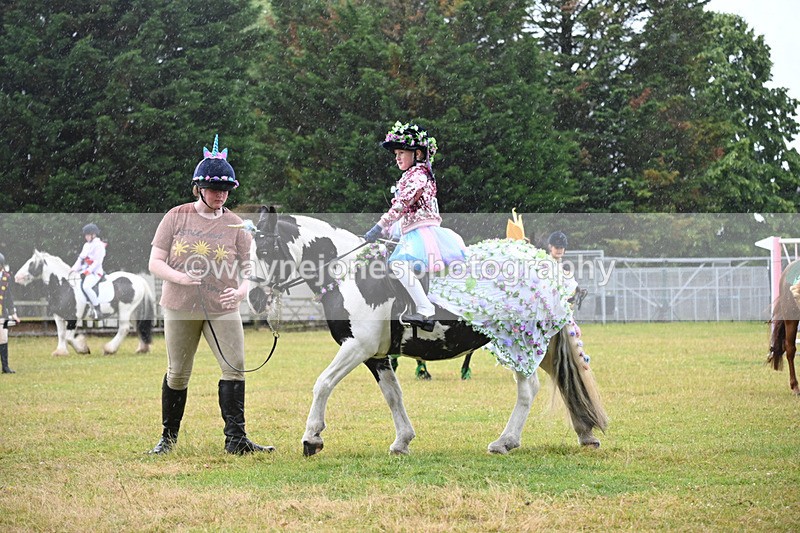 WJ6_9202 - Class 11 Fancy Dress