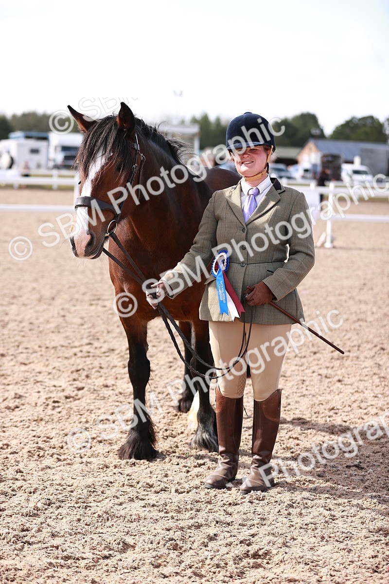 SBM_22921 - Class 706 - IH Veteran