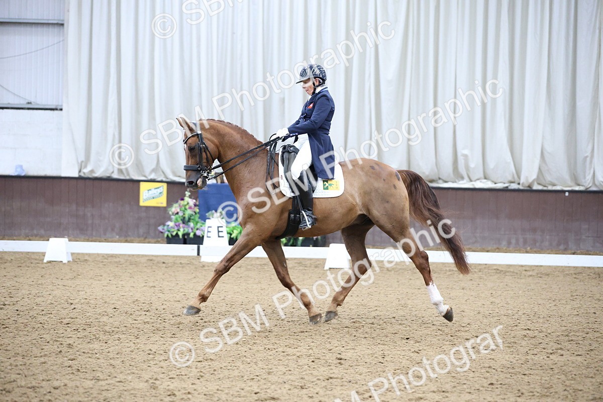 SBM_004737 - Class 9 - FEI Inter 1 Gold - 16.59-17.47