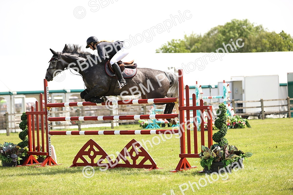 SBM_04026 - Class 201 - British Horse Feedds Speedi Beet HOYS Grade C