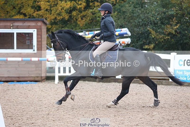 231112A-094725-03070 - Cls 17 Blue Chip Novice Winter Qualifier