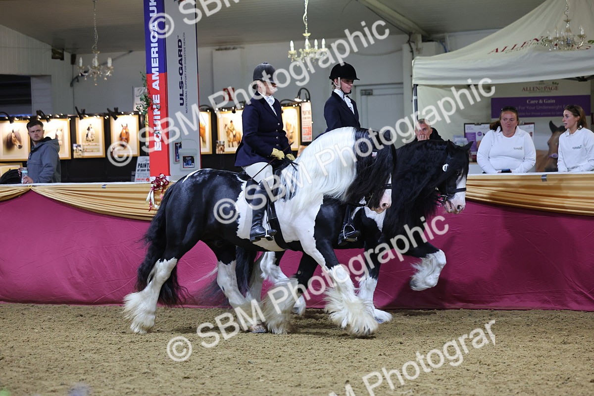0B8A4349 - Class M Ridden Pairs Champ