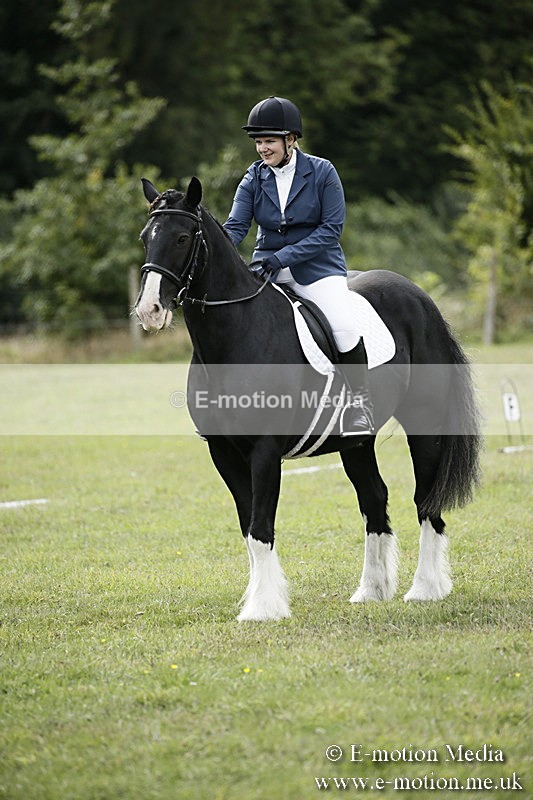 BVR080918 159 - BVRC Novice Dressage & CR 08/09/18