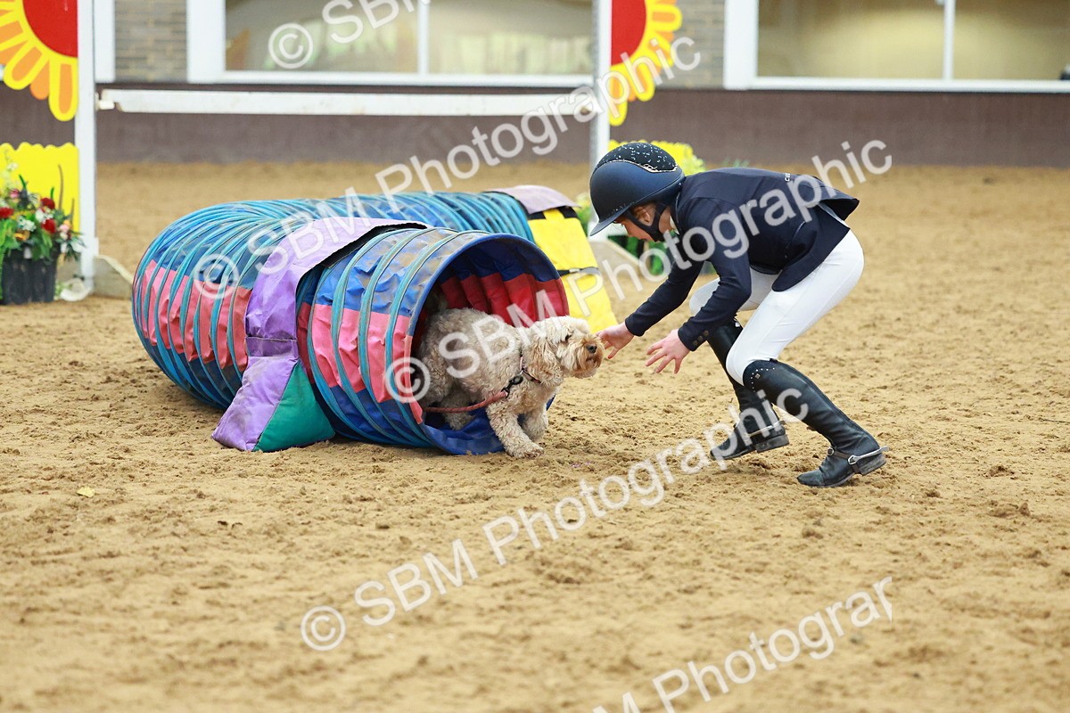 SBM_002507 - Class 3 - Horse & Hound (60cm)