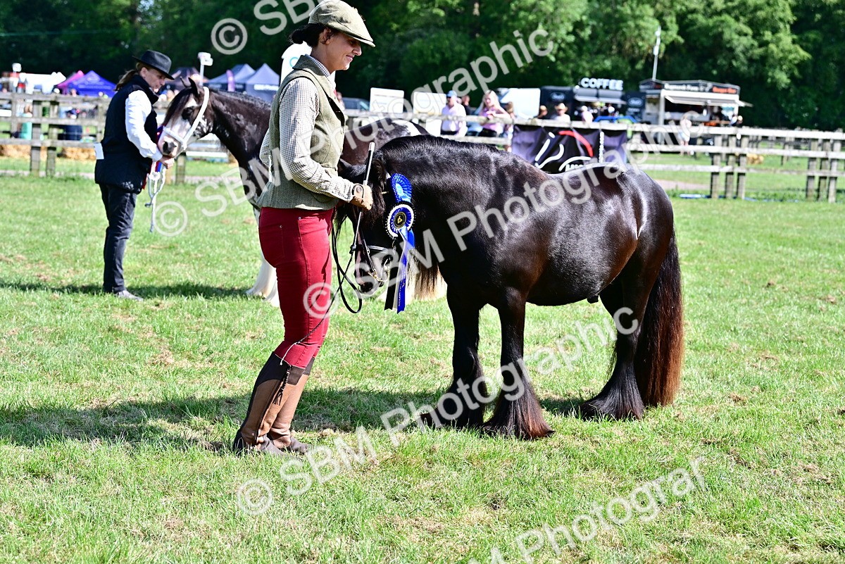 SBM_09515 - Class 63-65 - Traditional Gypsy Cobs In Hand & Ridden