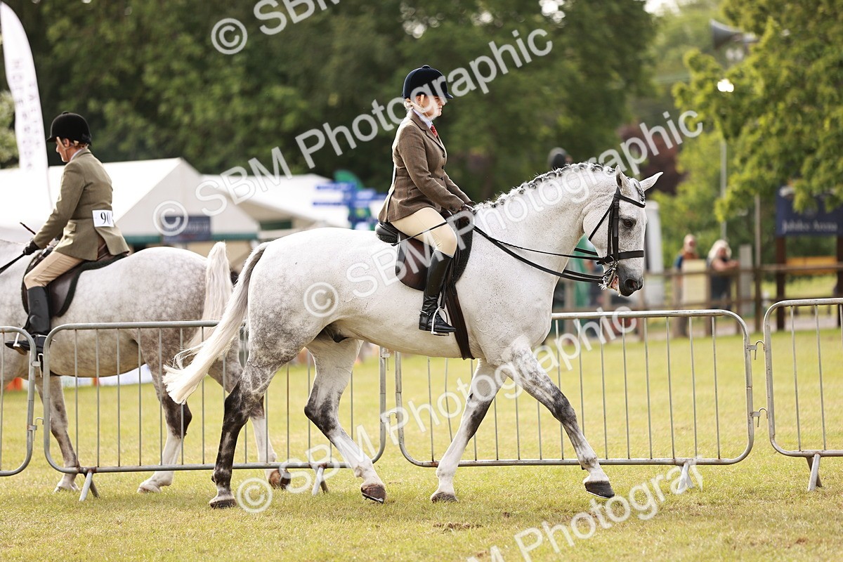 SBM_10849 - Class 81-84 - RIHS Ridden hunters Inc Ladies Hunter