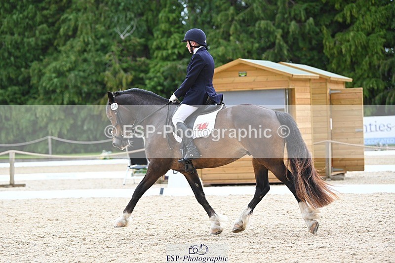 230813-141014-07693 - Cls 13 Medium Bronze 13.15 to End