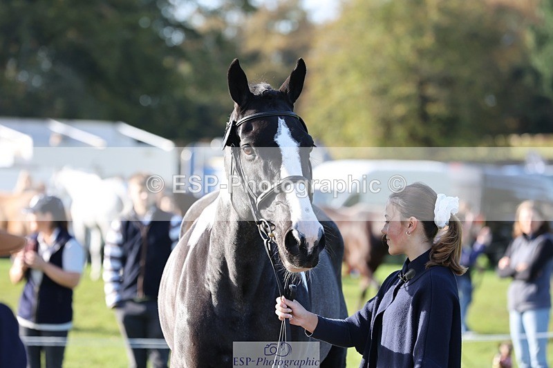 241027-102636-15892 - 544-Natasha.Crapper-KILCORBAN.MY.FAIR.LADY