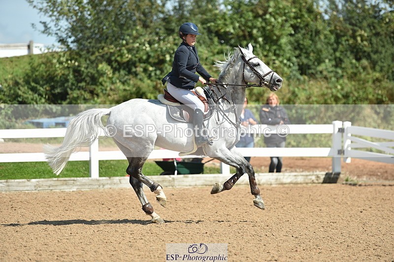 230723A-155636-13223 - Cls 16, 1 Star Bronze 1.15m