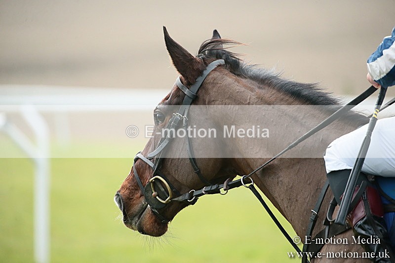 PtP 251118-28 - Vine & Craven Point-to Point Barbury Racecourse 25/11/18