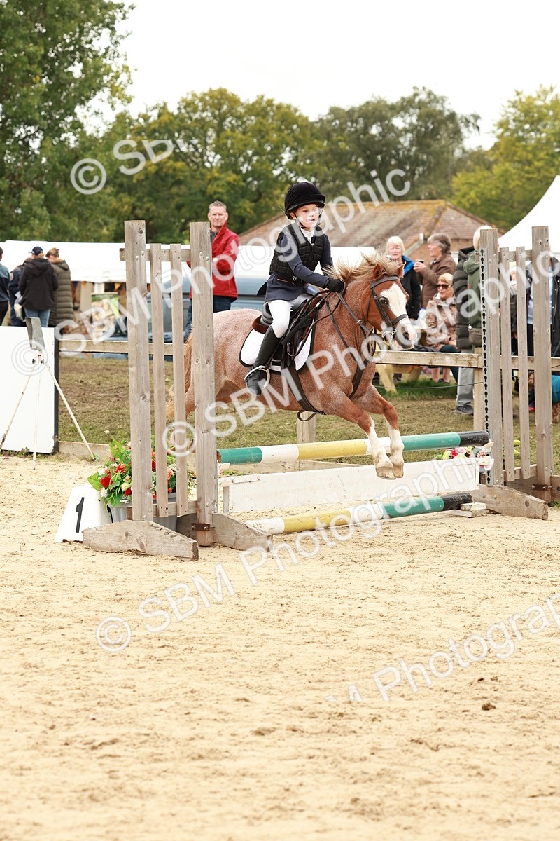SBM_61931 - J12 - Junior Pony 55cm Championship