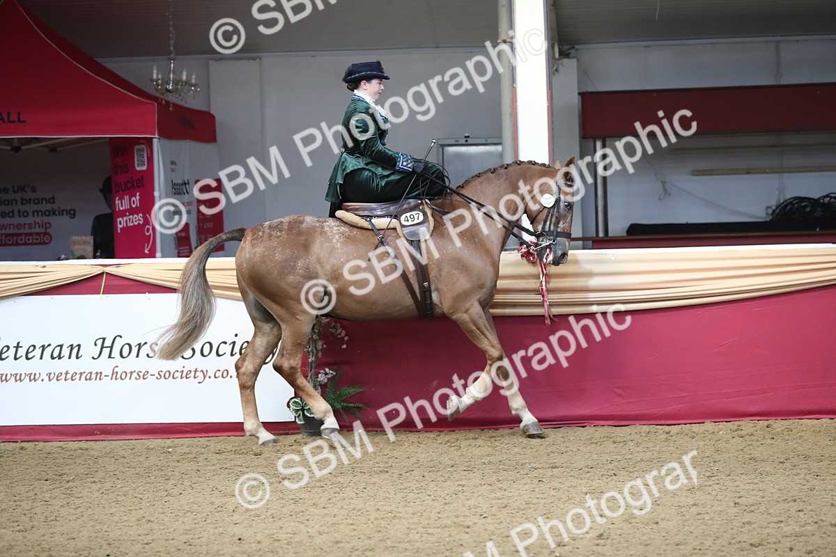SBM_11556 - Class 105 Ridden Costume- Side Saddle