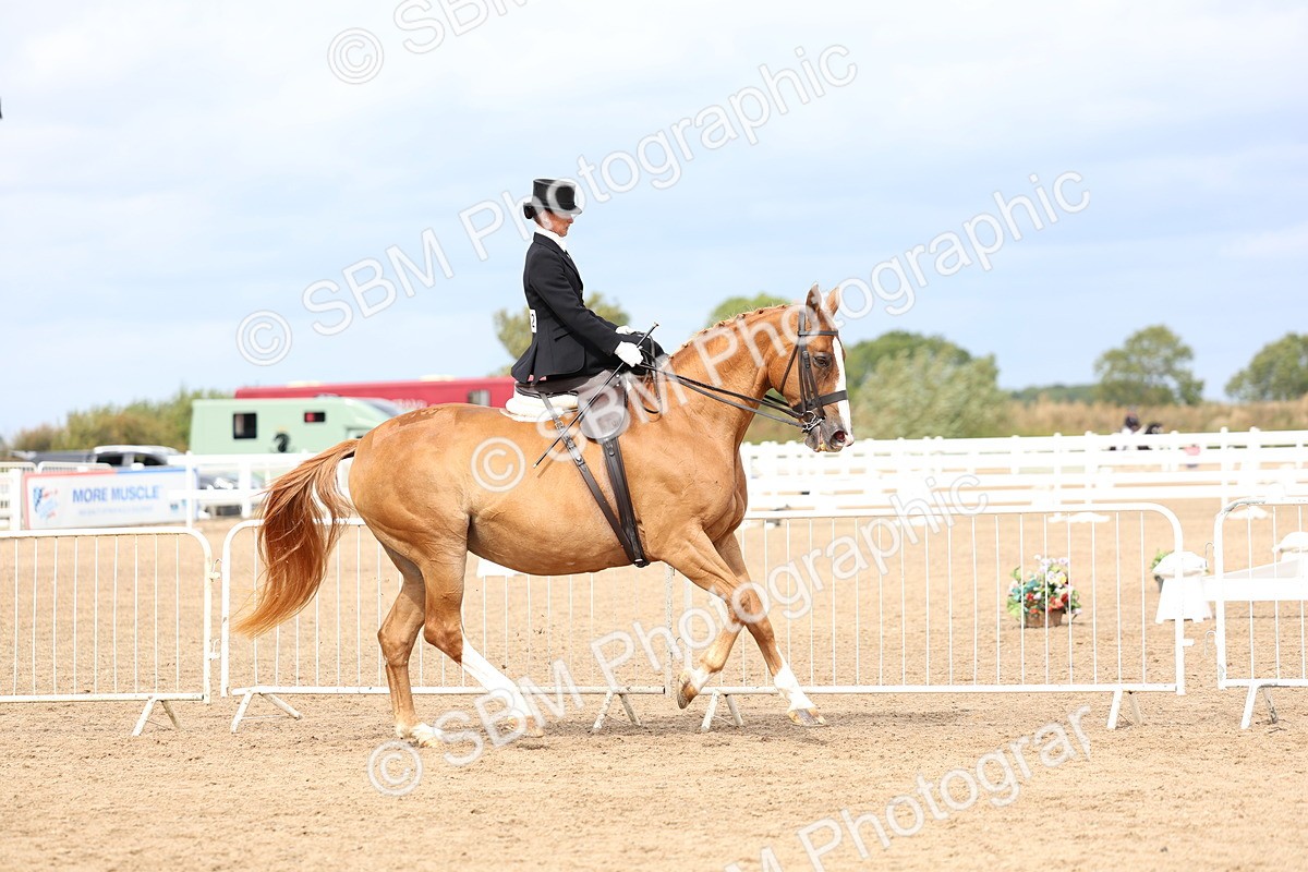 SBM_03406 - Class 24 - SSA Concours d'elegance (any age)
