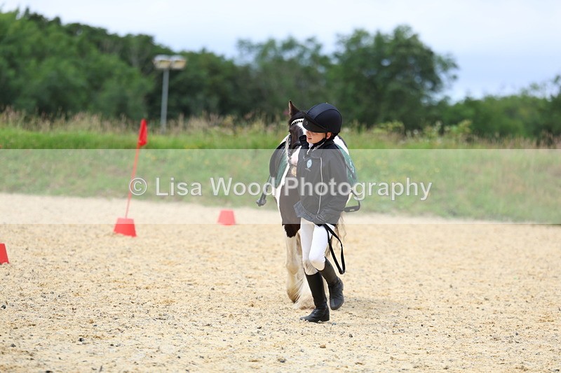 3E7A9648 - Walk trot run