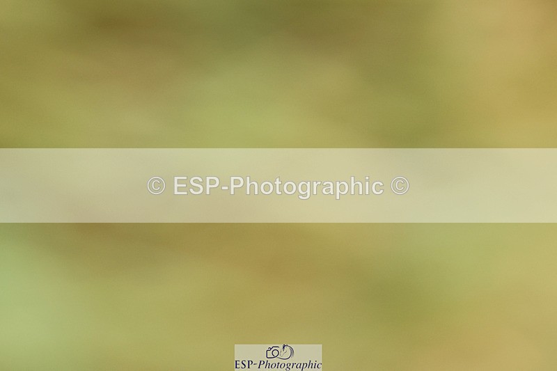 240824X-090315-21921 - D70 Section C and D 8.30 to 9.30