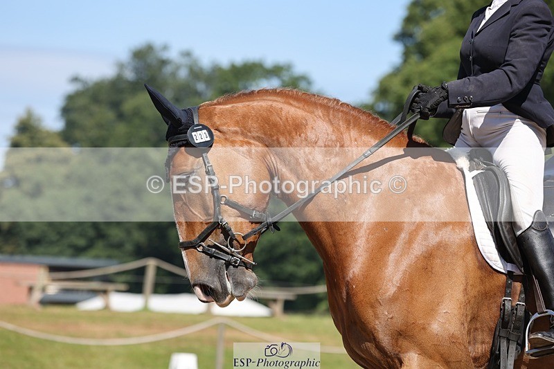 240719-103657-00745 - 223-Deborah_Randall-Sandy's_Bertie