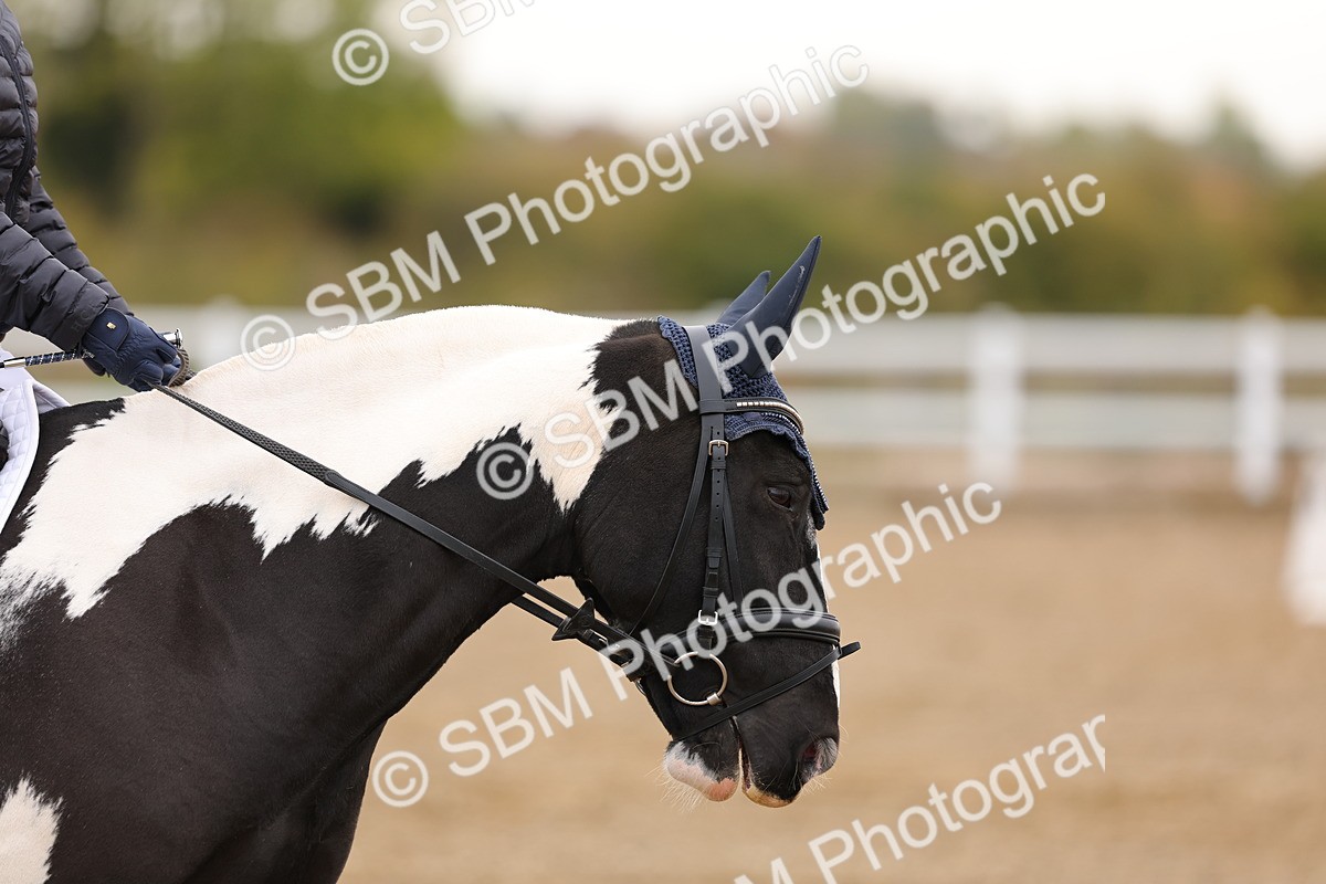 SBM_000022 - Intro 1
