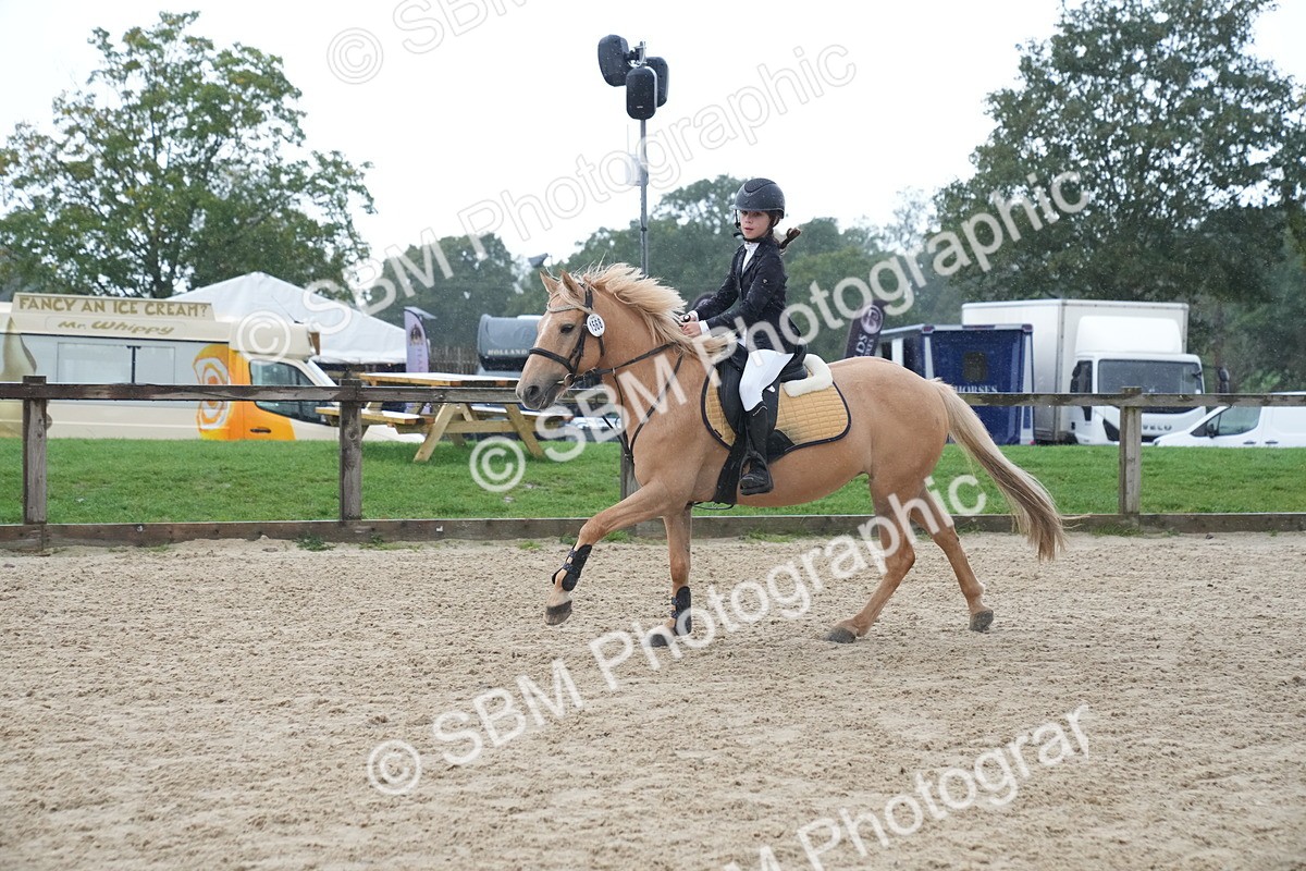 SBM_01603 - J54 - Clear Round 50cm