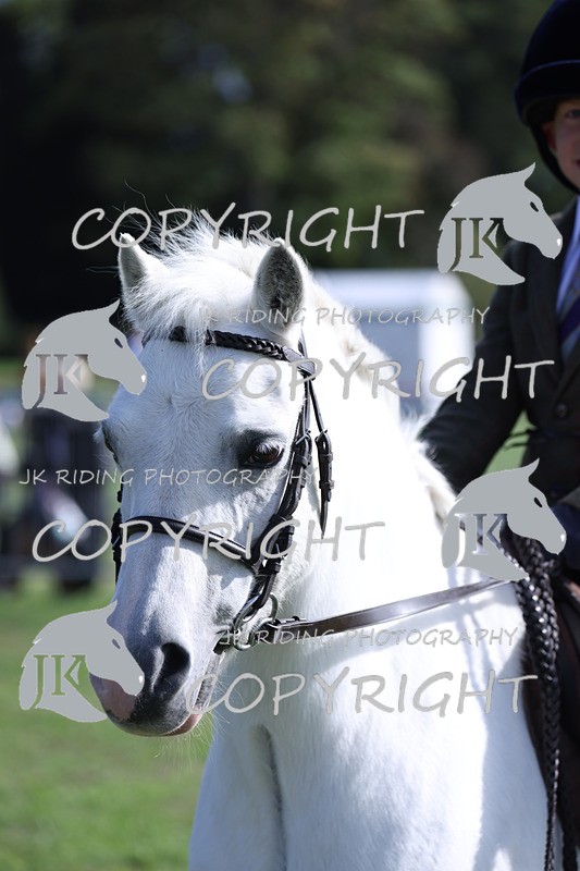 APP_4021 - Class 14 First ridden