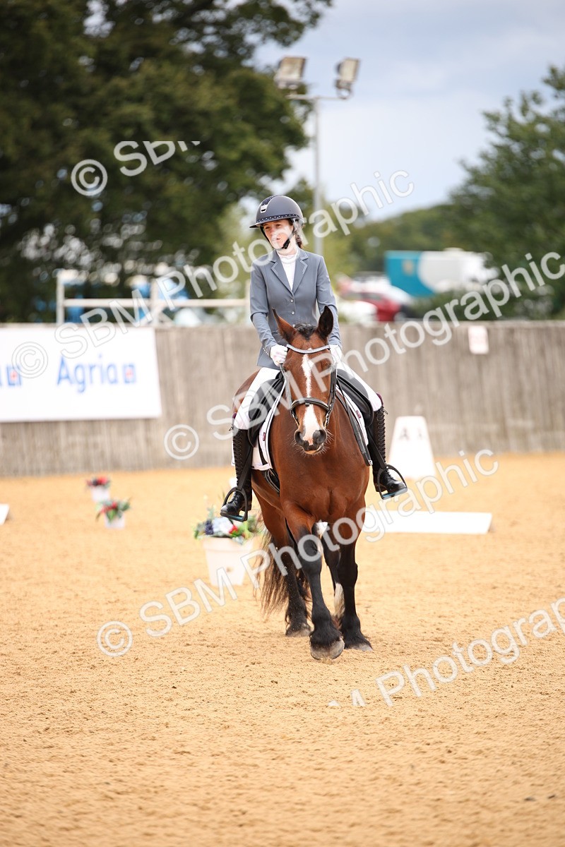 SBM_09111 - D8 Small Tour Championship Prelim 7