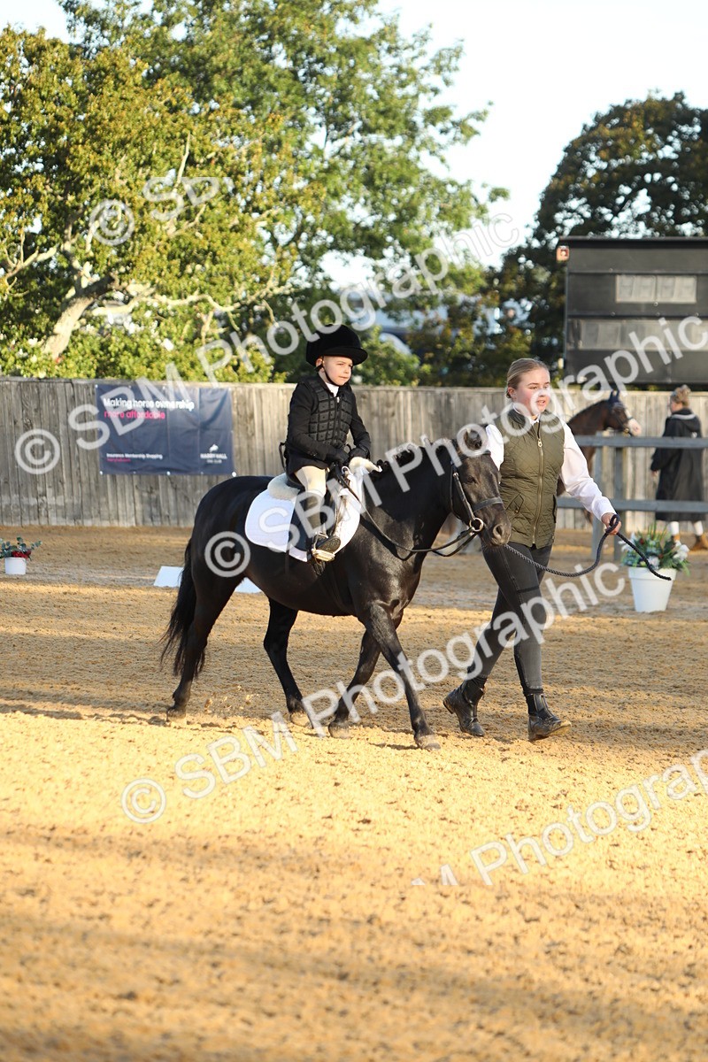 SBM_33555 - D26 - Starers - Lead Rein