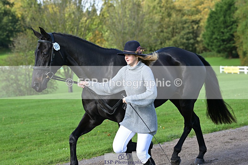 241023-130219-00038 - 002-Ellie.Fredericks-BRITANNIA'S.OLIVE