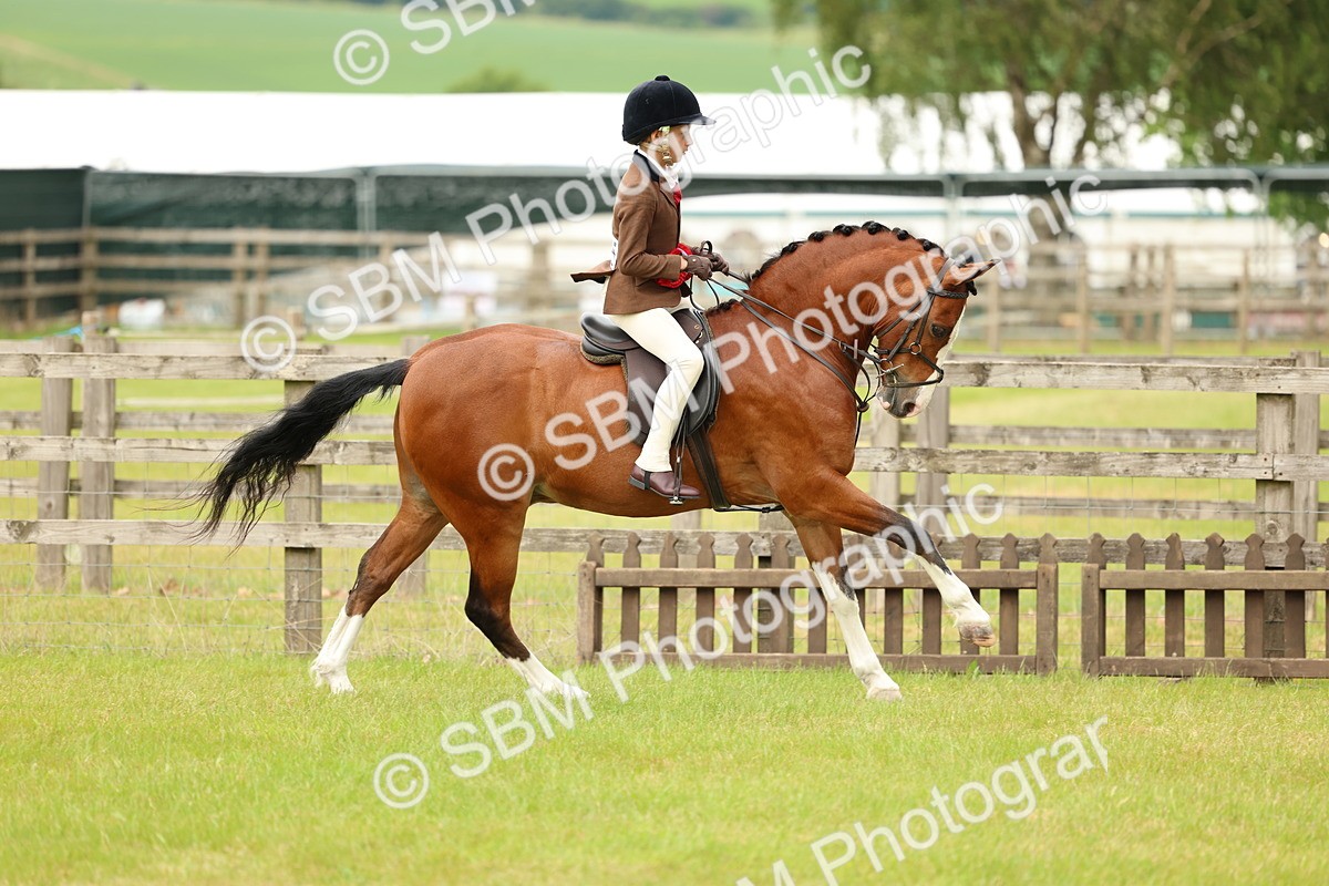 SBM_10446 - Class 44-45 - LIHS BSPS Open Nursery and Cradle Stakes
