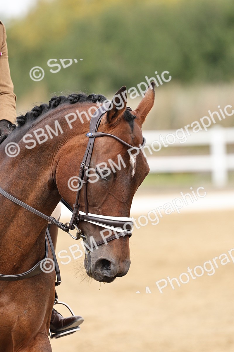 SBM_018308 - Class 16 - Novice 5 - 11.12-12.01